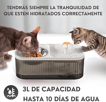 Comedero y bebedero de mascotas con fuente