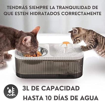 Comedero y bebedero de mascotas con fuente