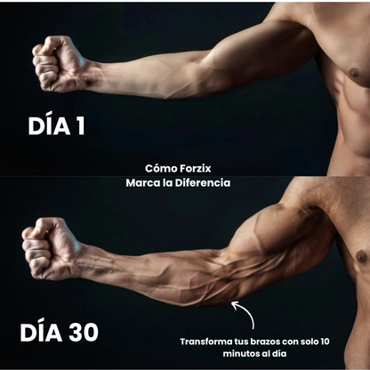 Ejercitador de brazos Forzix